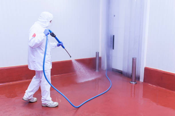 Best House Exterior Washing  in Eatonton, GA
